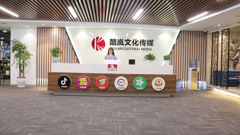 MG动画制作周期揭秘：影响周期的关键因素**