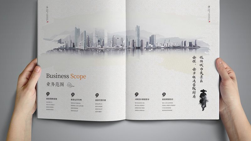 品牌设计公司项目案例解析：揭秘成功之道